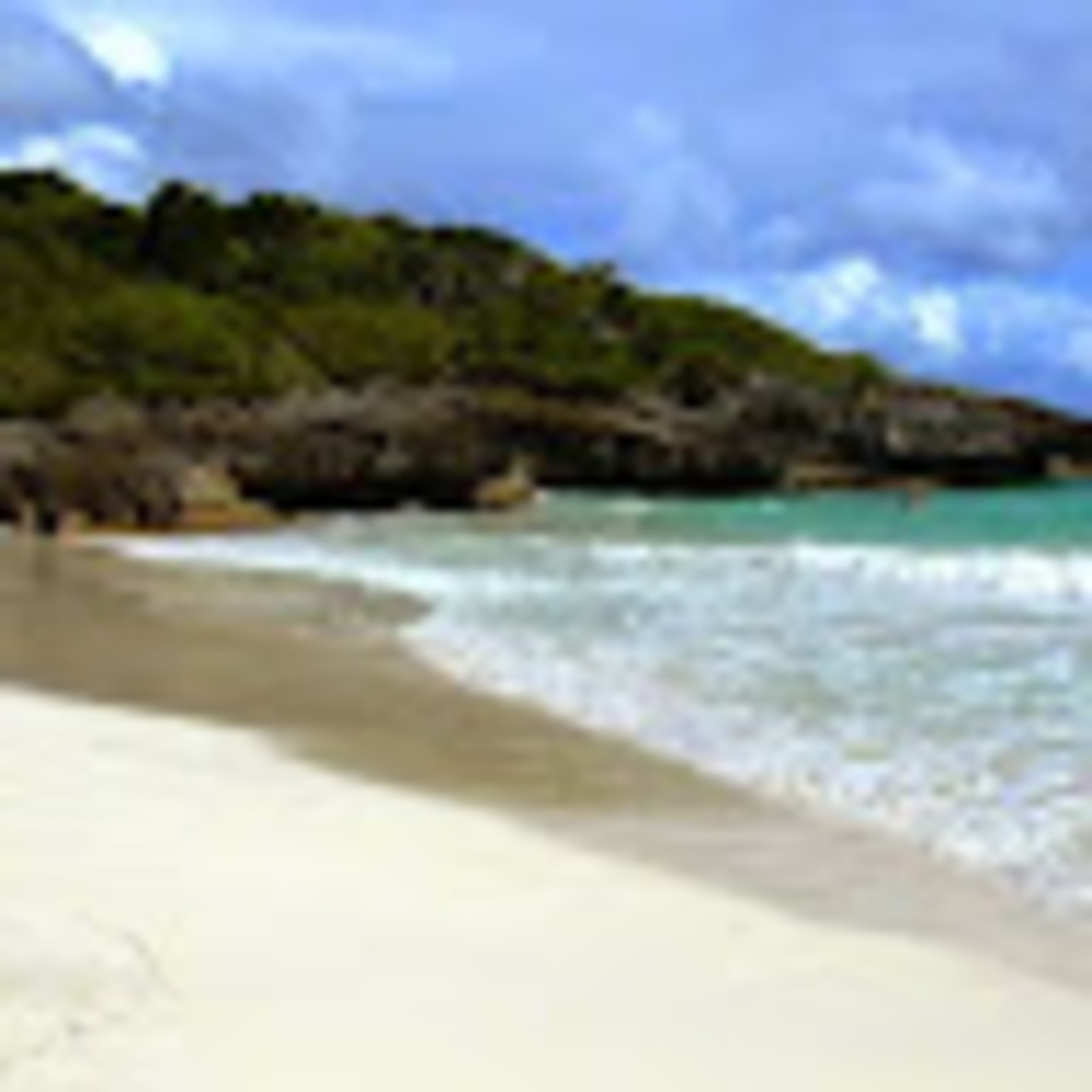 Meet your Posher, Sandy